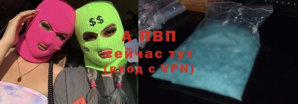 apvp Няндома