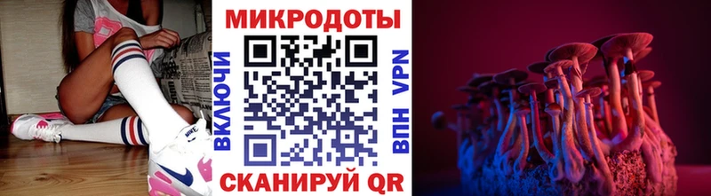 Галлюциногенные грибы MAGIC MUSHROOMS  купить наркоту  Карачев 
