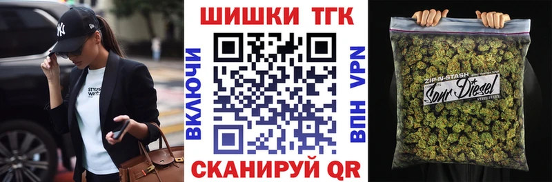 Конопля гибрид  Карачев 